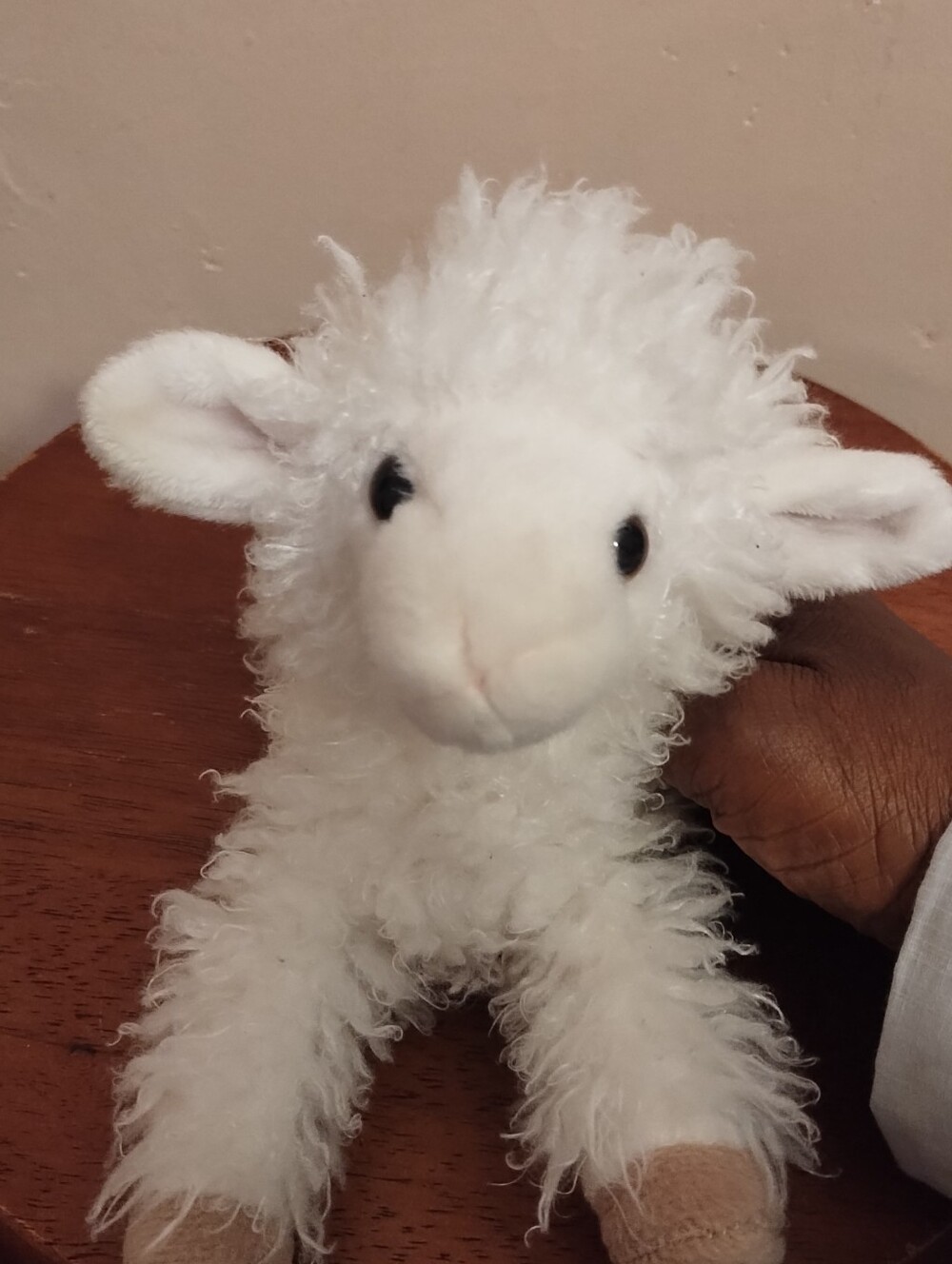 Douglas Plush White Lamb - Picture 5 of 6